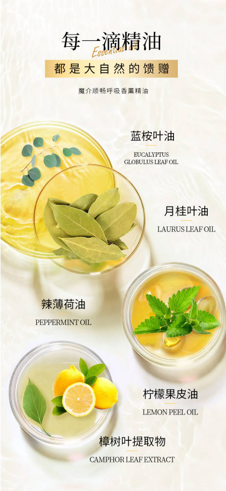 源文件下载【护肤成分简约海报】编号：95600029653248189