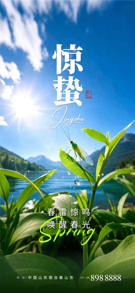 源文件下载【惊蛰春日海报】编号：40840029138052489