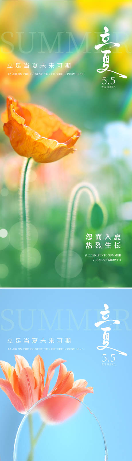 源文件下載【享設(shè)計】搜索編號：74670029253155422【立夏海報】