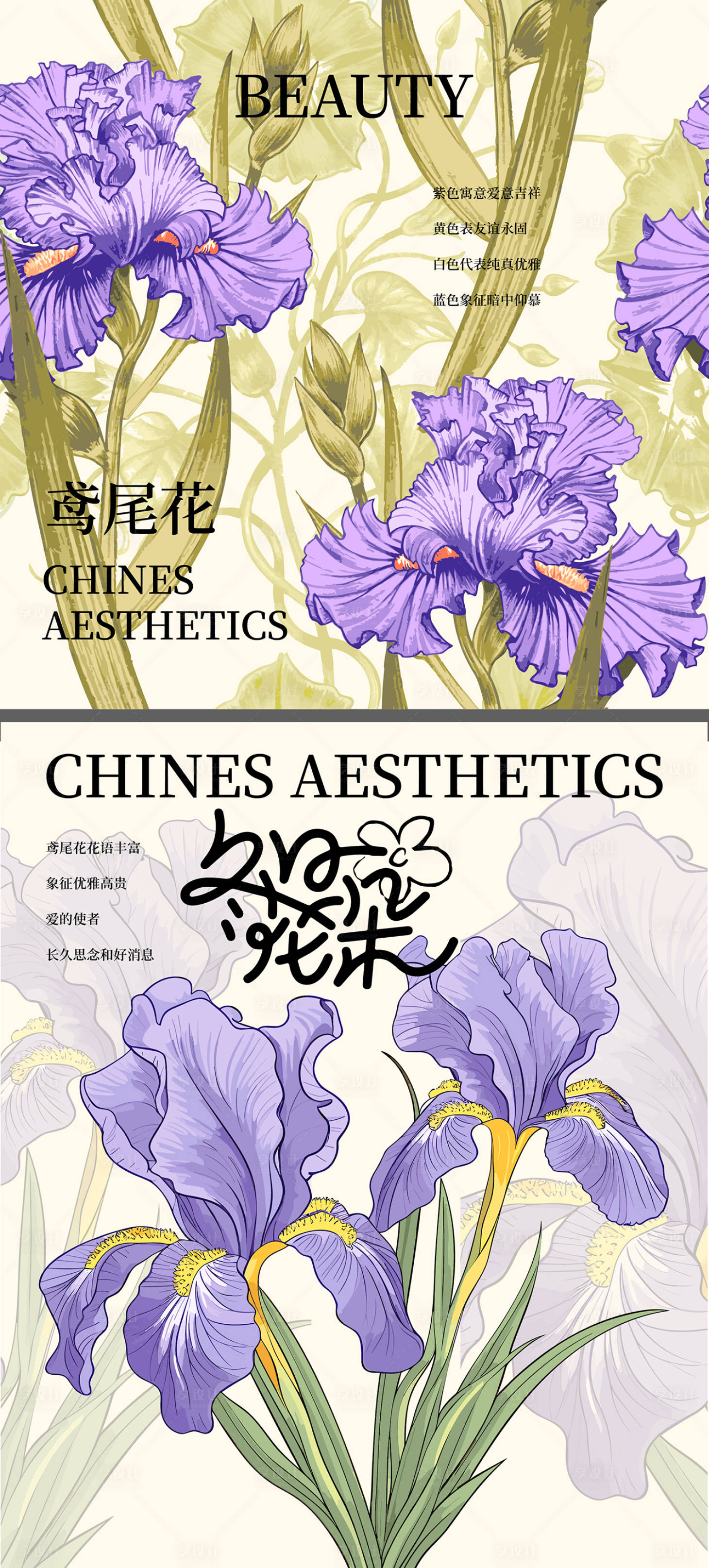 源文件下载【享设计】搜索编号：37650029303145242【鸢尾花插画海报】