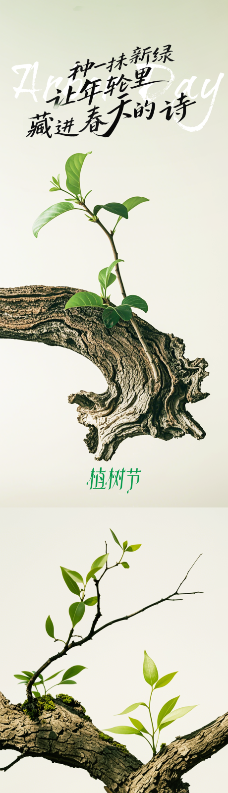 源文件下载【享设计】搜索编号：35390029365072226【植树节绿色树叶海报】