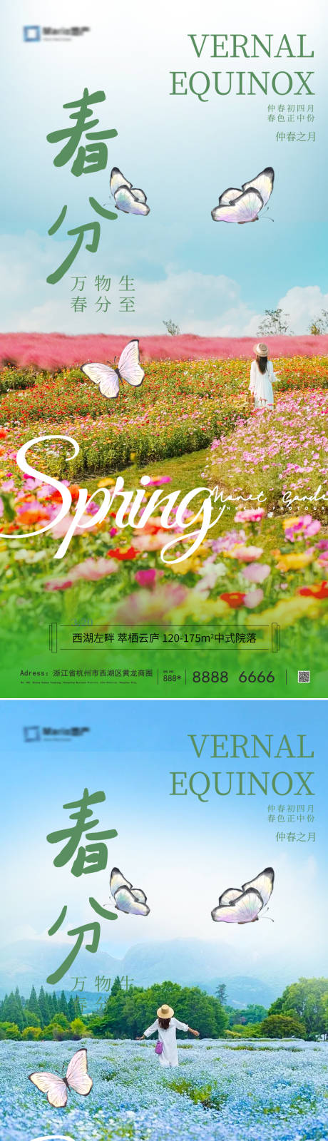 源文件下載【春分節氣移動端海報】編號：36620029240703361