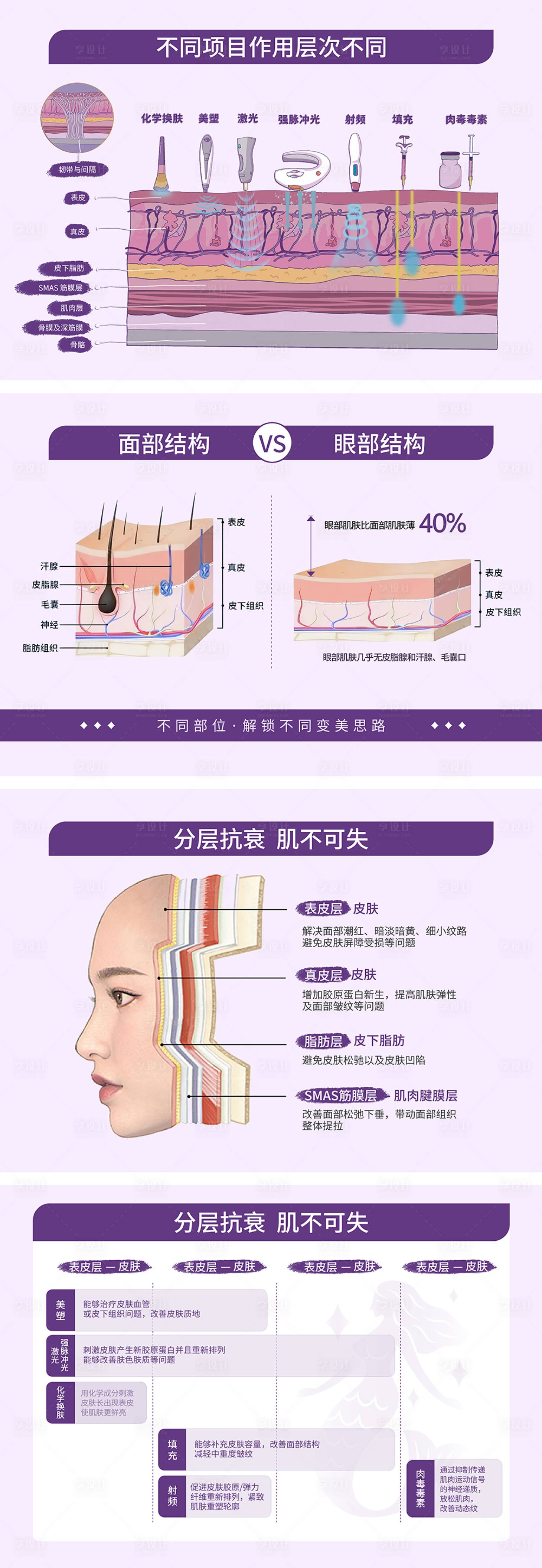 源文件下載【享設計】搜索編號：92670029552357446【皮膚分層海報展板】