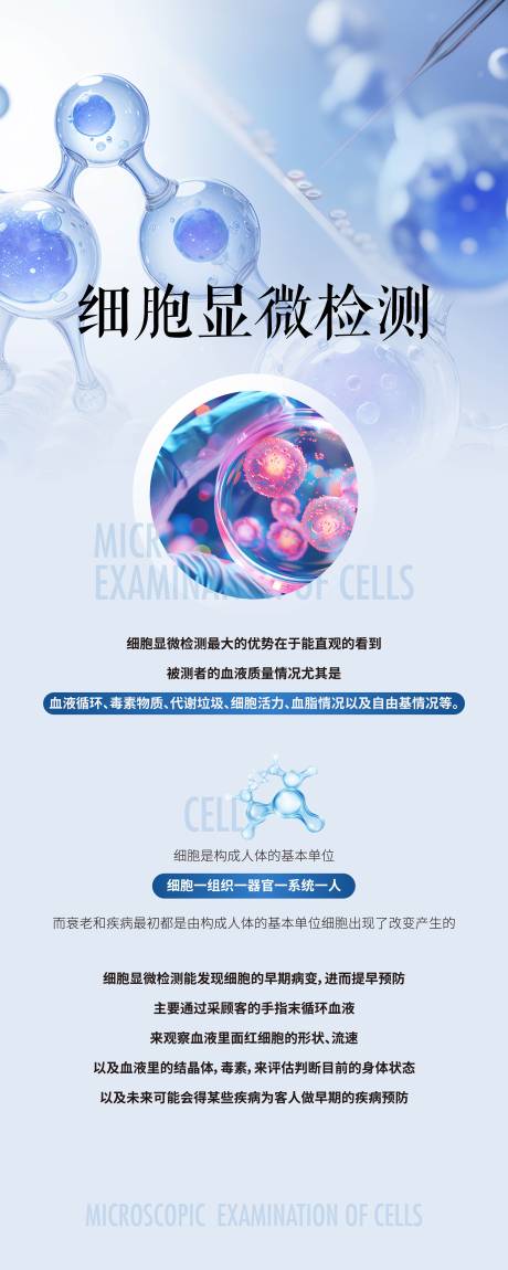源文件下载【项目海报 易拉宝】编号：96110029572754168