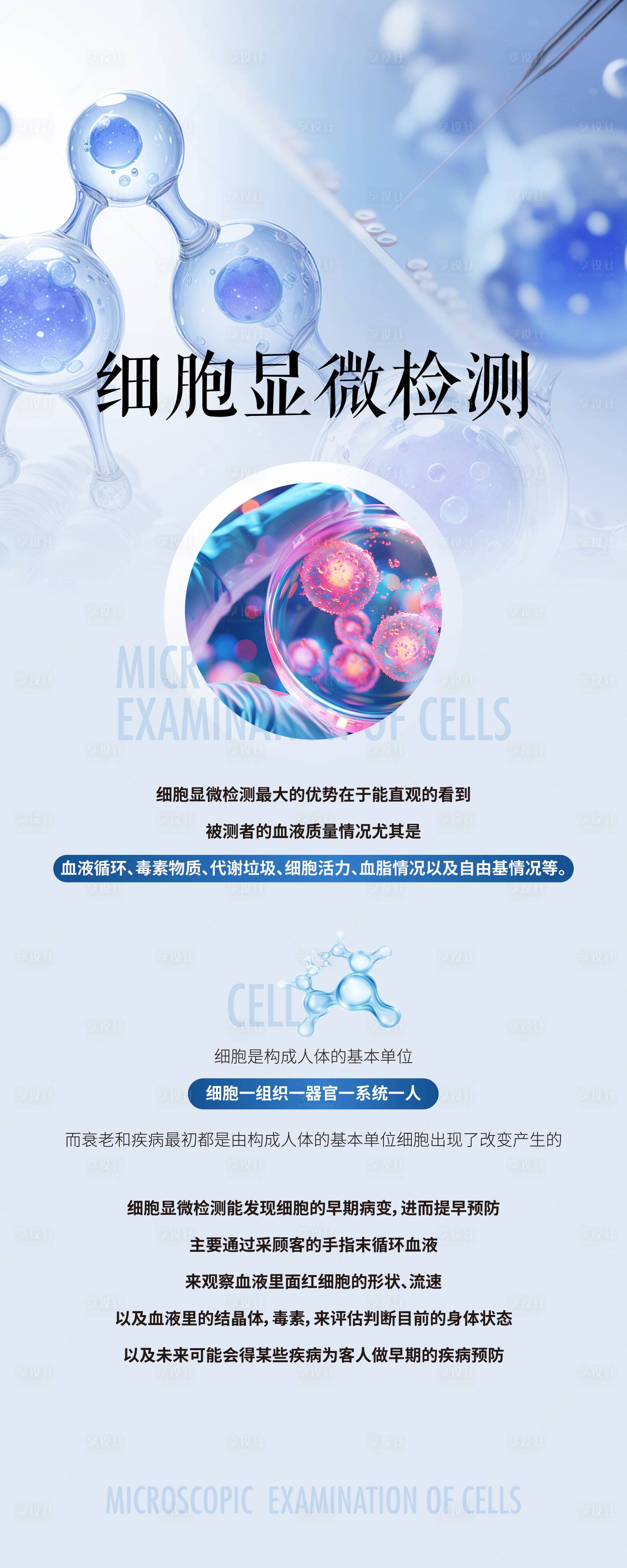 源文件下載【享設計】搜索編號：96110029572754168【項目海報 易拉寶】