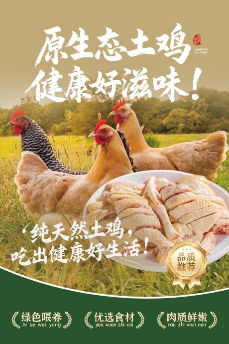 源文件下载【鲜鸡肉海报】编号：87310029556951245