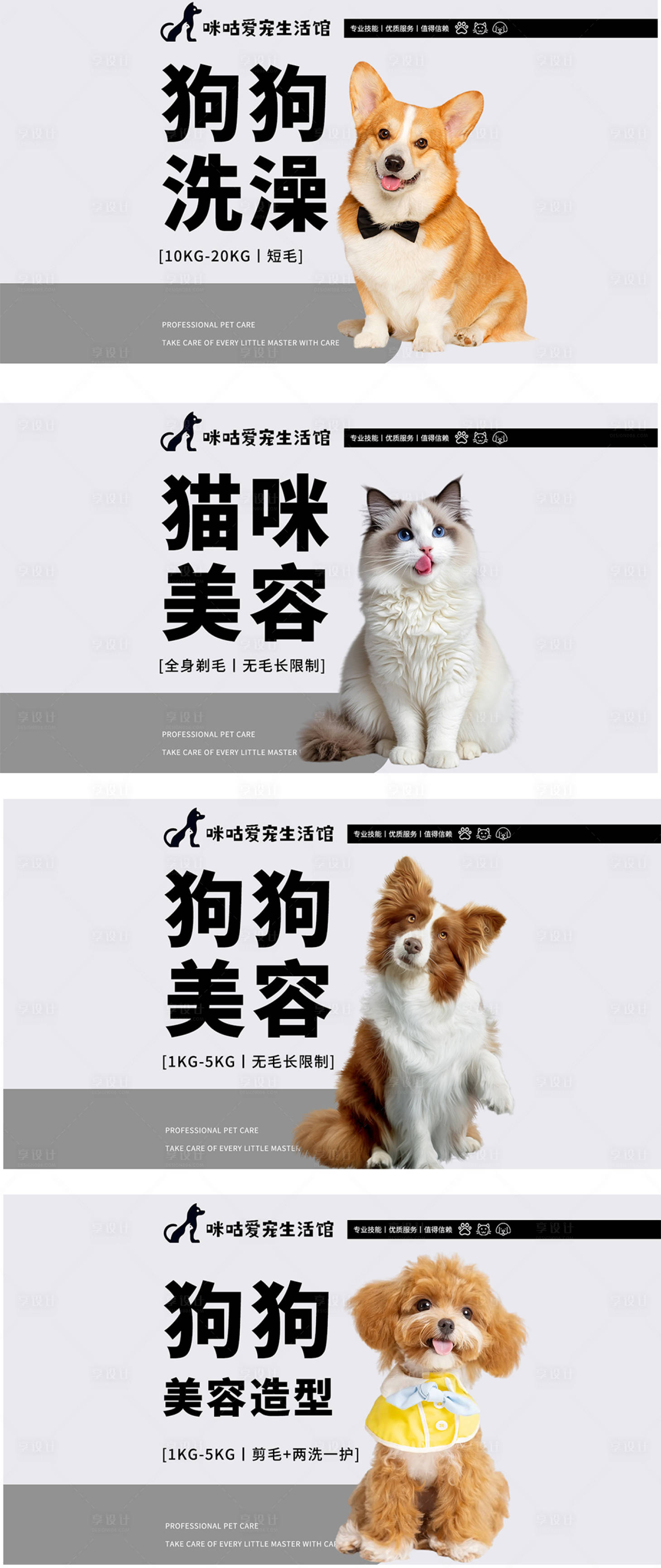 源文件下载【宠物洗护轮播海报】编号：94280029713593379