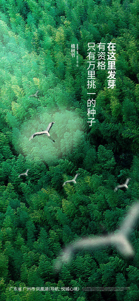 源文件下载【植树节宣传海报】编号：42080029185683617