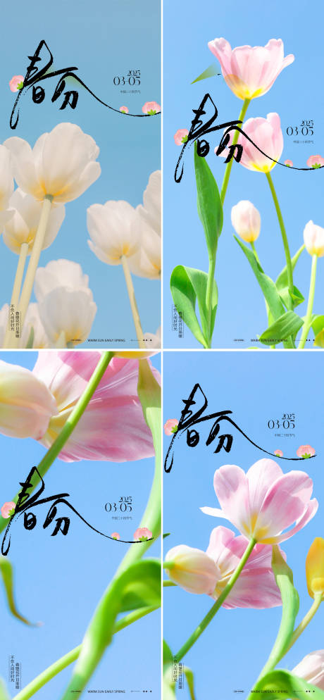 源文件下载【享设计】搜索编号：70870029365967983【春分郁金香节气移动端海报】