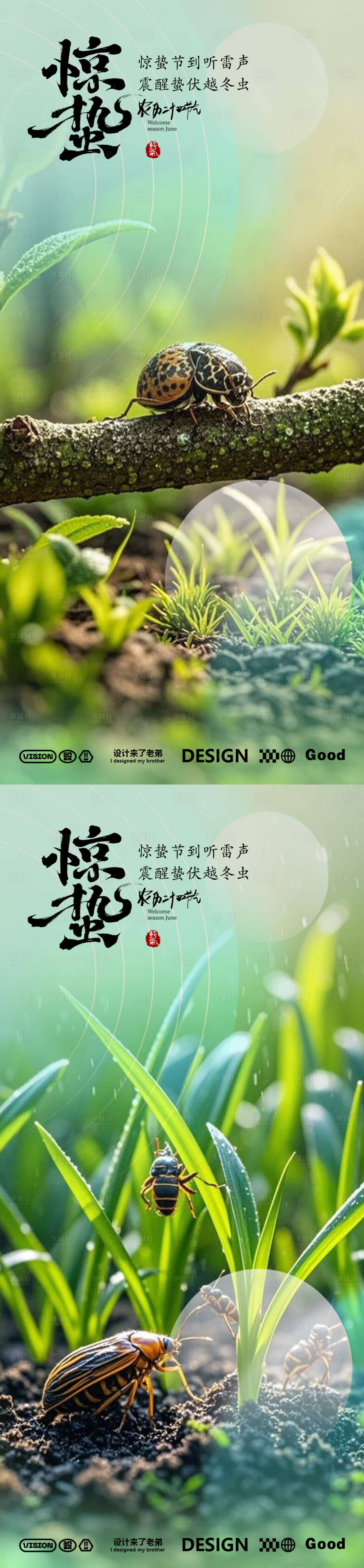 源文件下載【享設計】搜索編號：42720029152475745【驚蟄節氣海報】