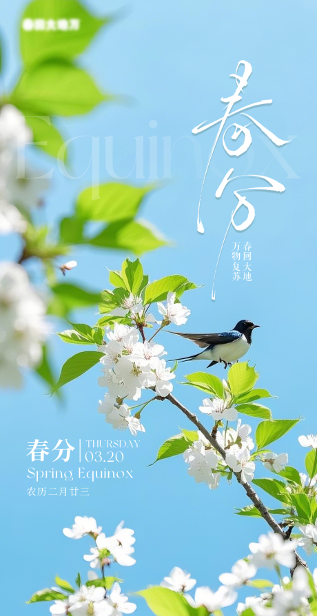 源文件下载【享设计】搜索编号：50890029418272897【二十四节气之春分】