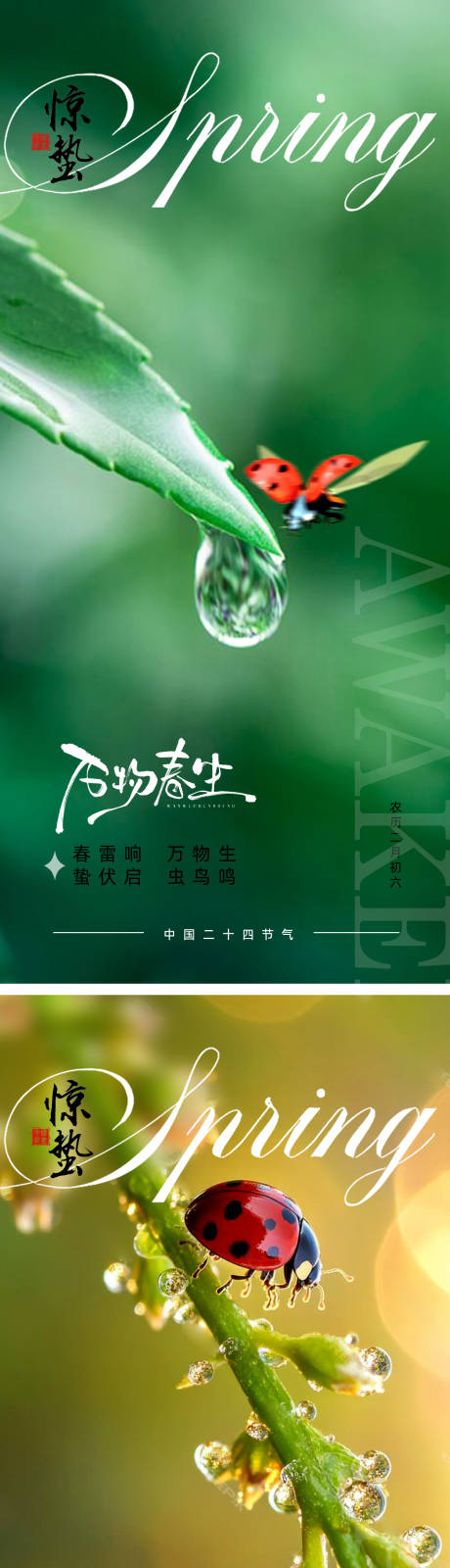源文件下载【惊蛰移动端节气海报】编号：60080029182718181