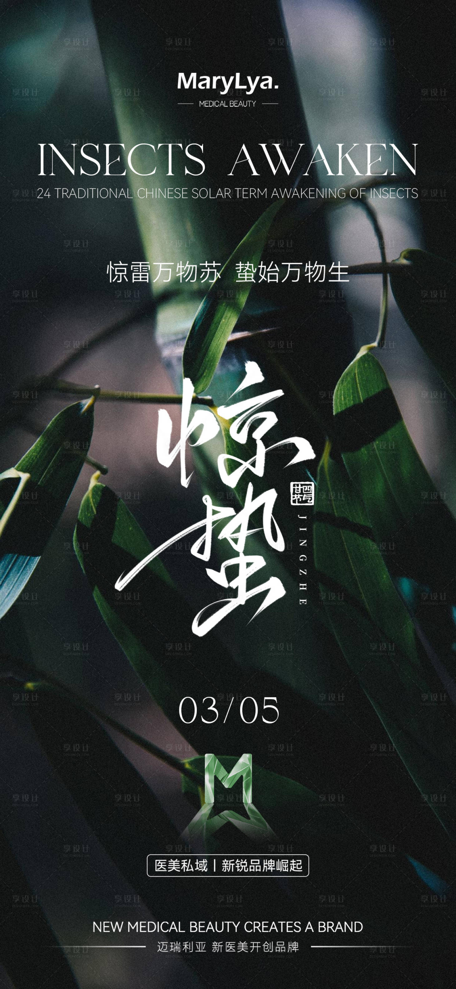源文件下載【驚蟄節氣海報】編號：24460029145625876