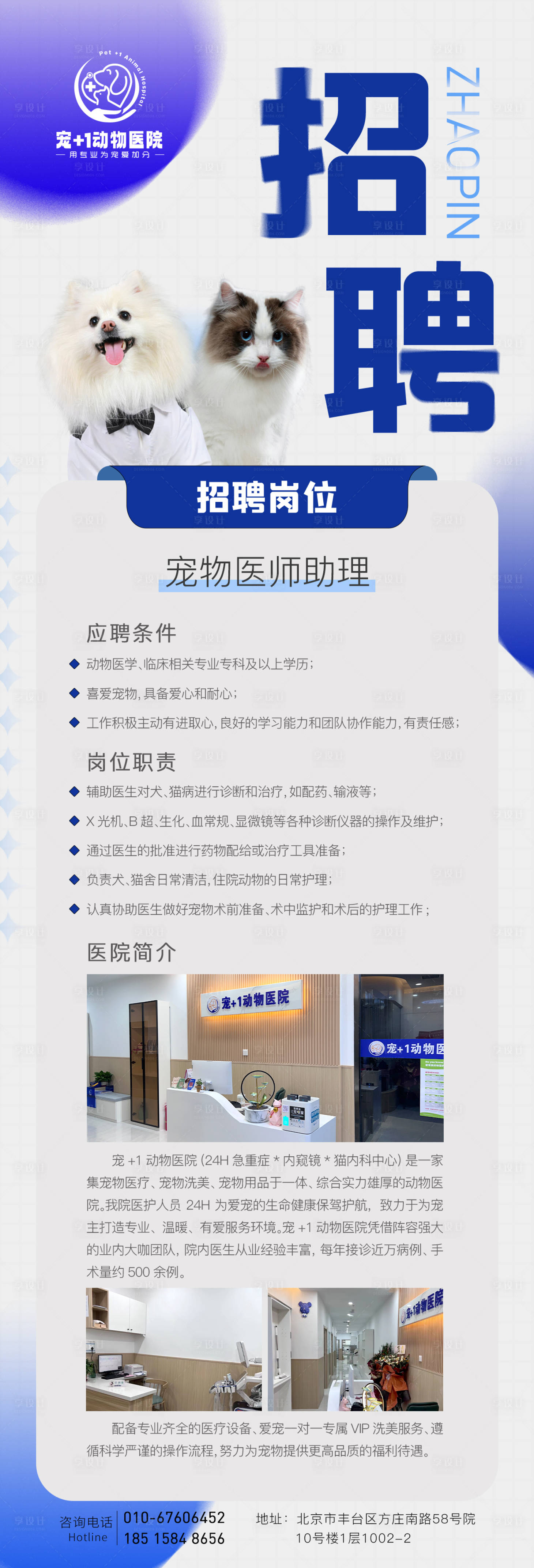 源文件下载【享设计】搜索编号：15650029630804219【宠物医院招聘海报】