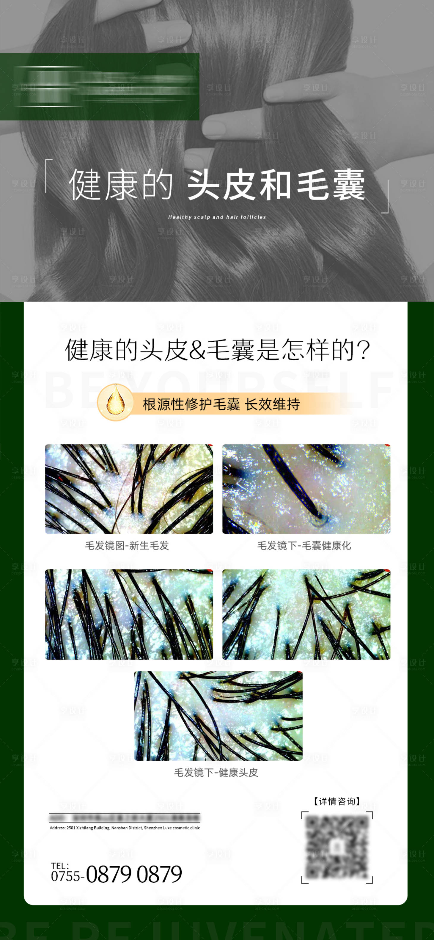 源文件下载【健康的头皮和毛囊海报】编号：52330029150628459