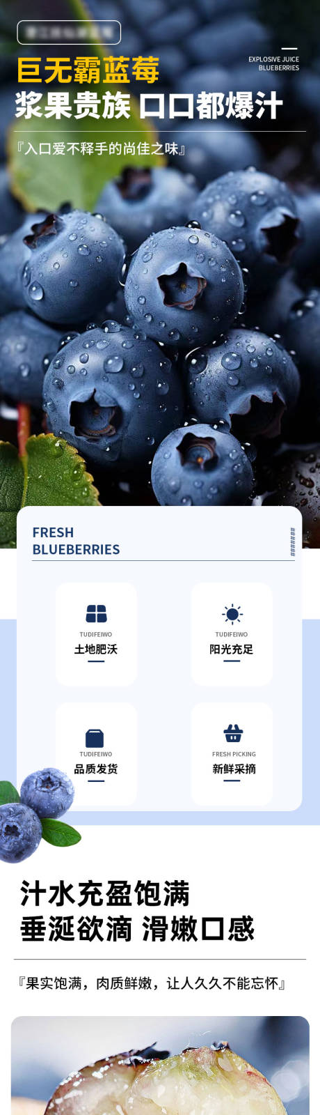 水果蓝莓详情