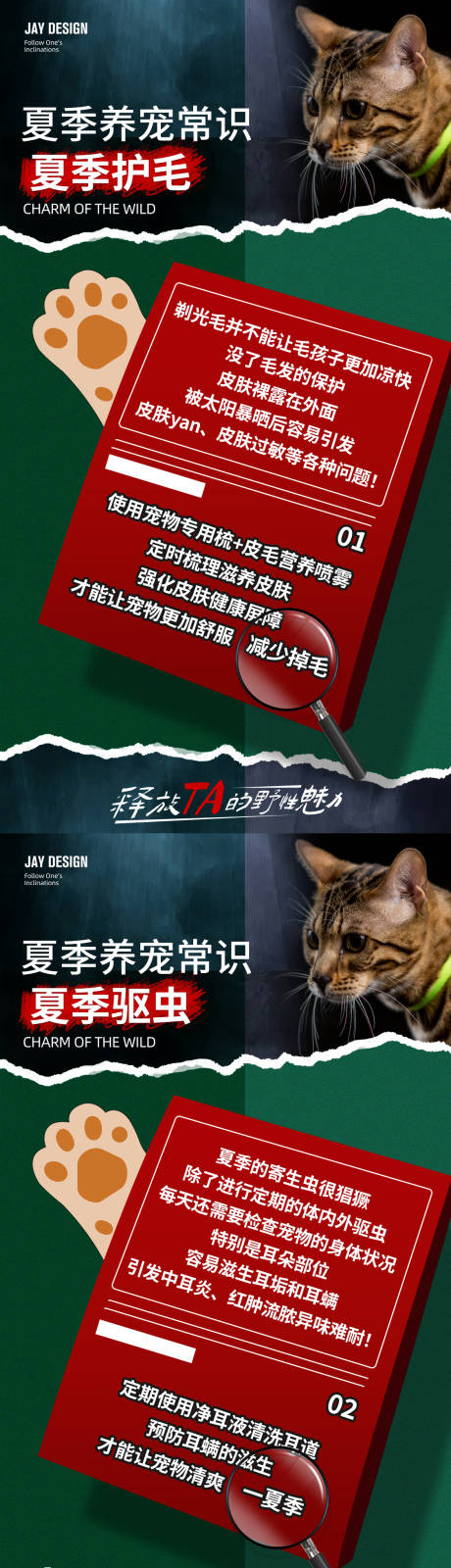 源文件下載【寵物夏季養護常識】編號：34470029162831425