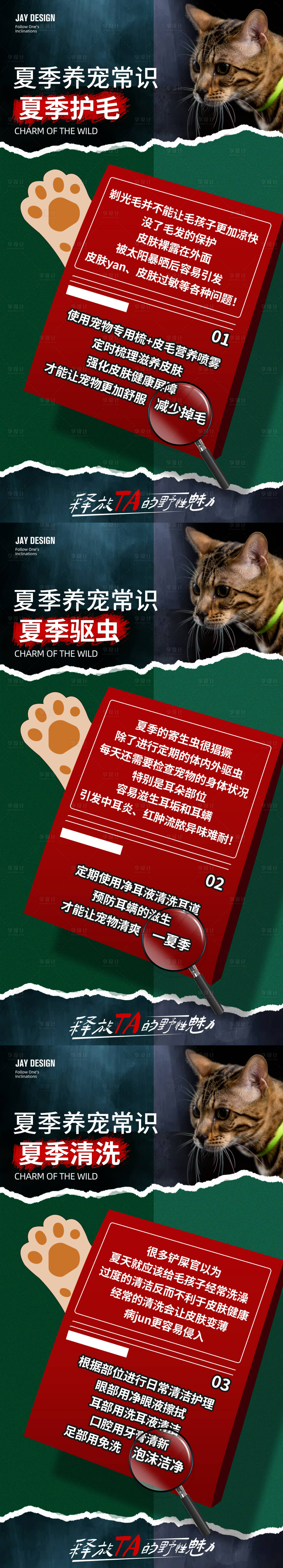 源文件下载【享设计】搜索编号：34470029162831425【宠物夏季养护常识】