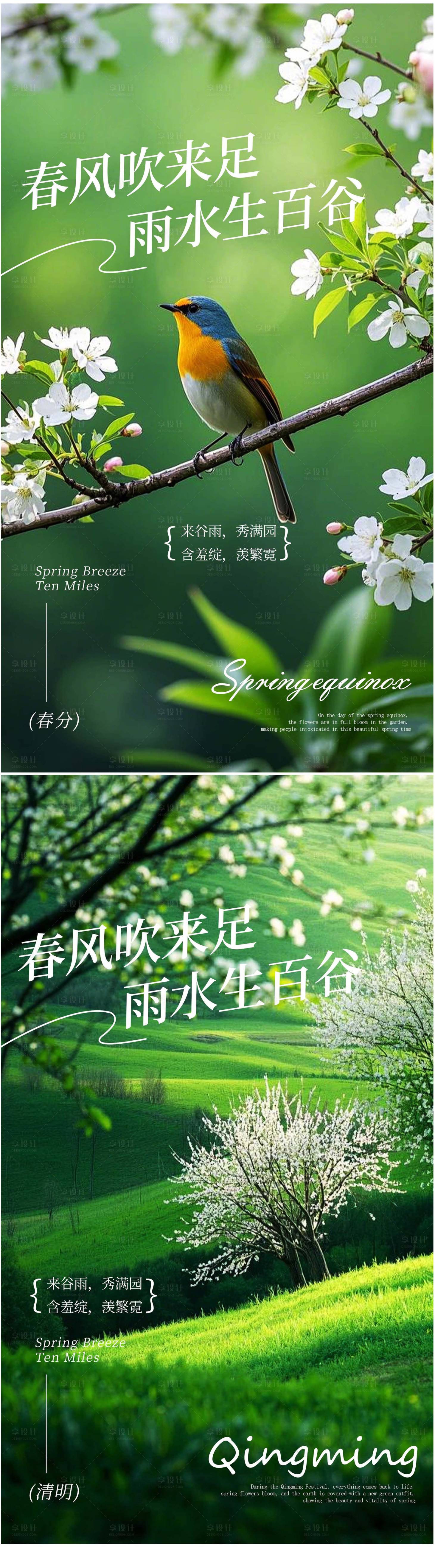 源文件下载【春分清明传统节日海报】编号：55660029586254069