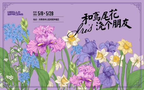 鸢尾花