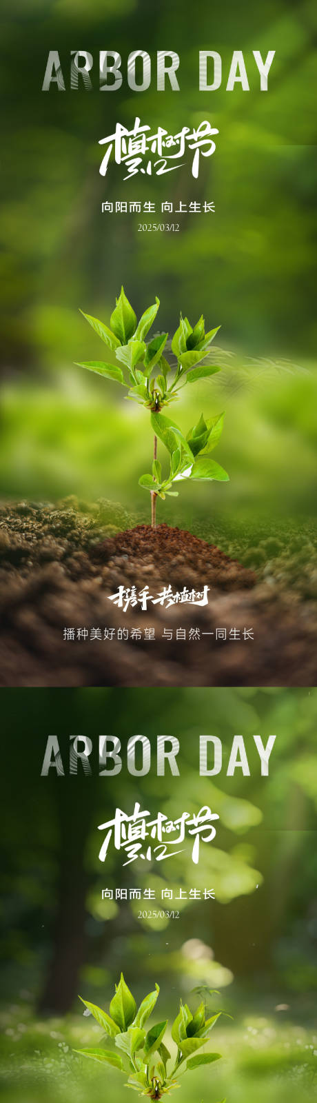 源文件下载【植树节实景园林系列海报】编号：47980029185582736