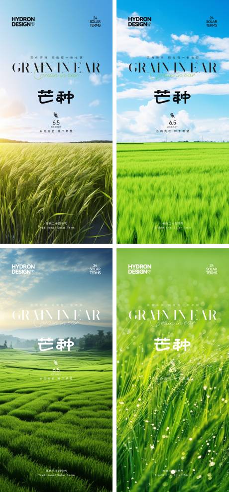 源文件下载【芒种节气海报】编号：79330029462476953