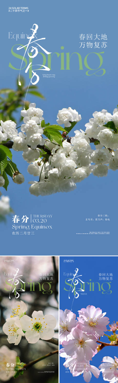 源文件下載【春分節氣系列海報】編號：77480029339173430