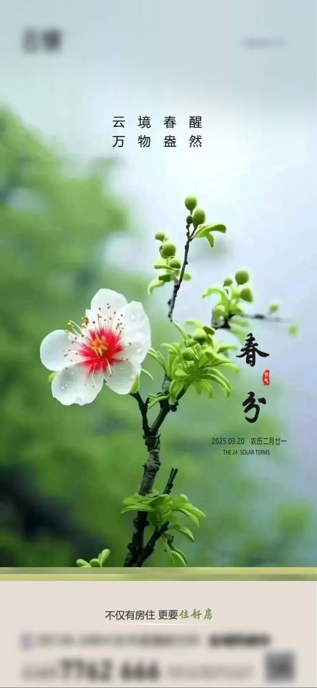 源文件下载【房地产现房春分节气海报】编号：97090029432834795