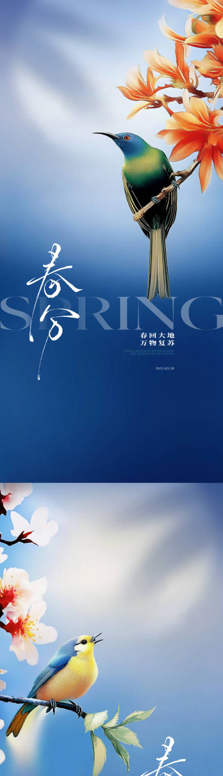 源文件下载【地产春分节气单图】编号：98980029186181002