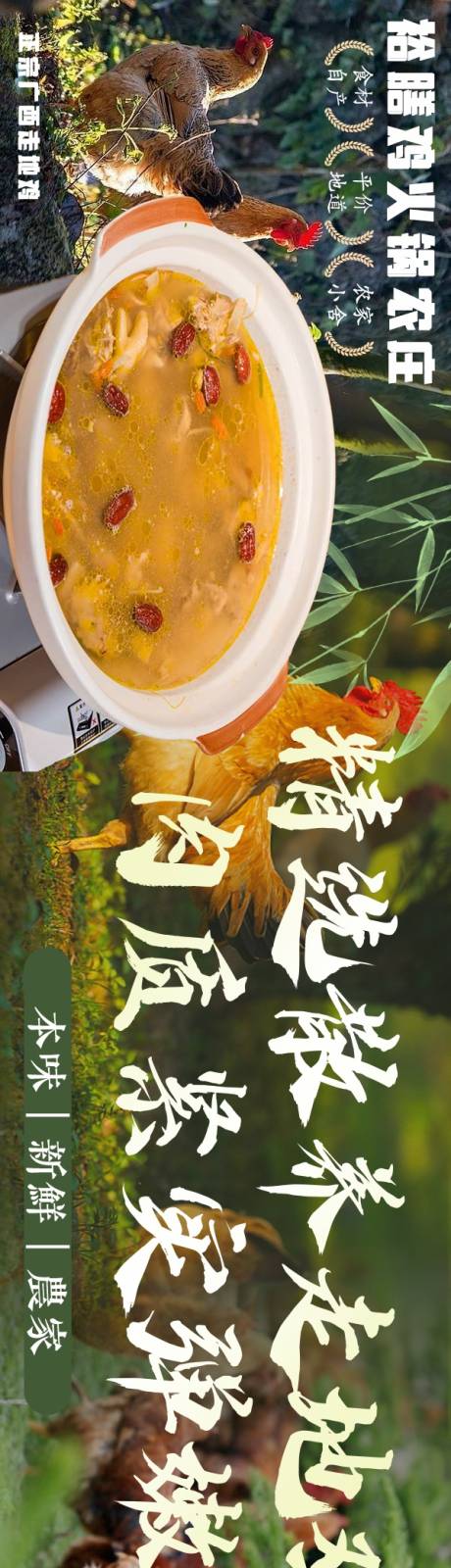 走地鸡五连图