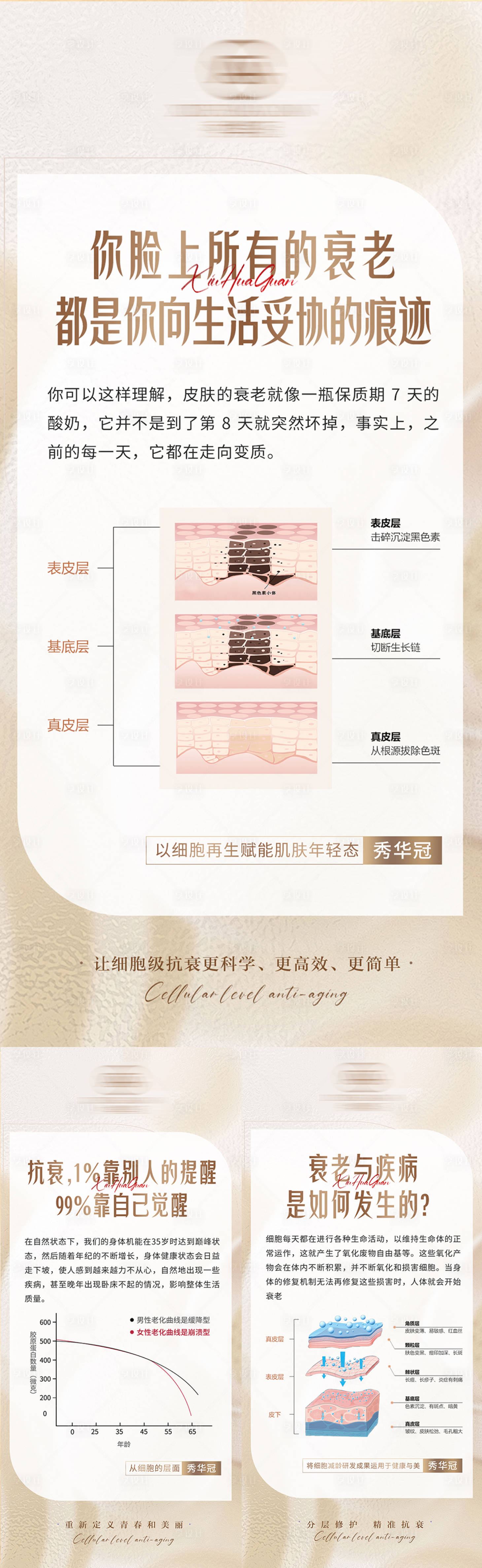 源文件下载【享设计】搜索编号：46810030213044328【护肤品产品科普海报】