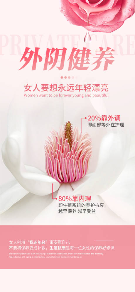 源文件下载【外阴健养】编号：92840030232053036