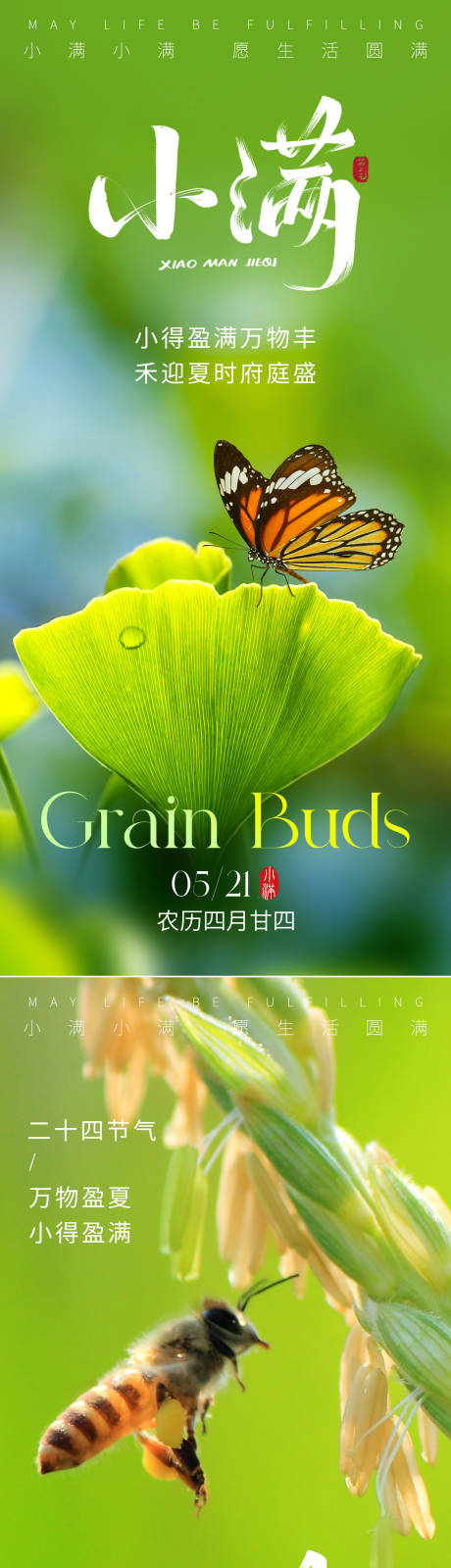 源文件下载【小满节气海报】编号：14390030445793254
