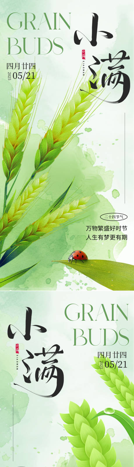 小满节气海报