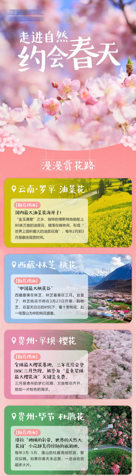 源文件下载【赏花春游花季春天长图海报】编号：72070030415622697