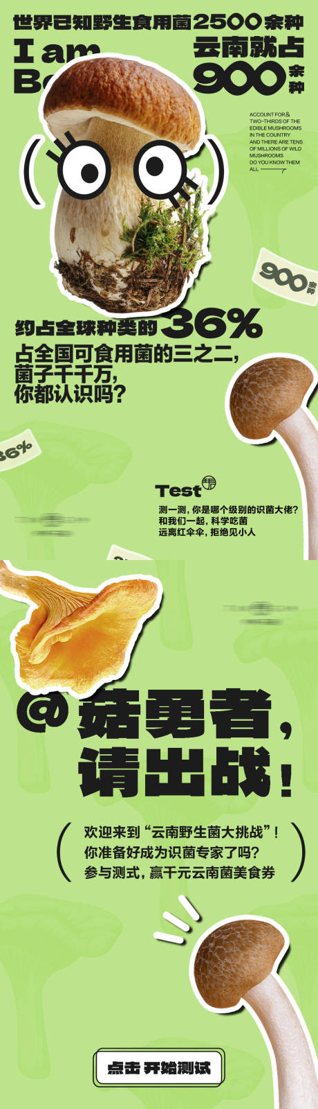 答题h5