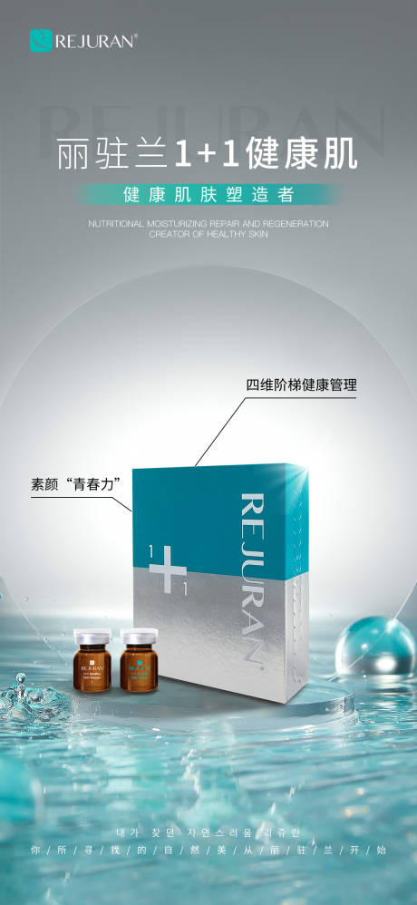 丽驻兰海报