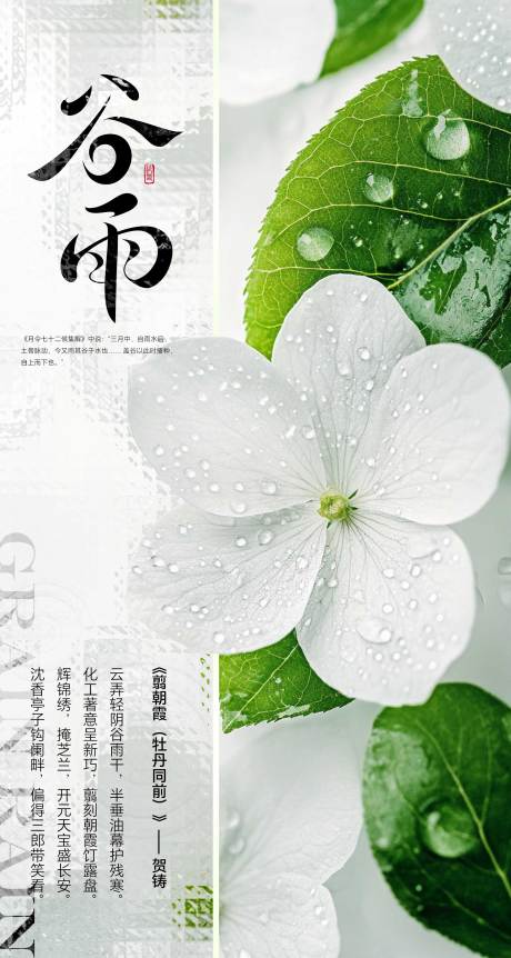 源文件下载【谷雨节气海报宣传】编号：13580030010491699