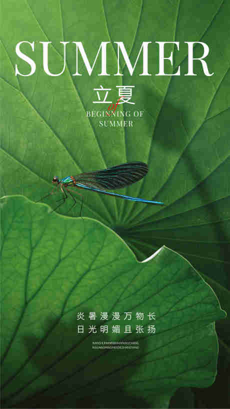 源文件下載【享設(shè)計】搜索編號：68480030450492688【立夏海報】