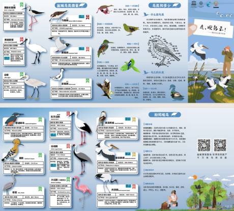 源文件下载【享设计】搜索编号：73270030336106265【观鸟研学手册】