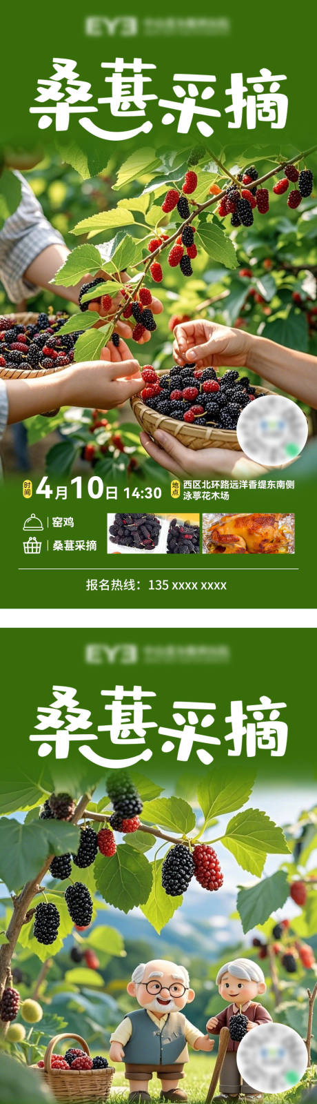 源文件下载【桑葚采摘】编号：92740030014574786