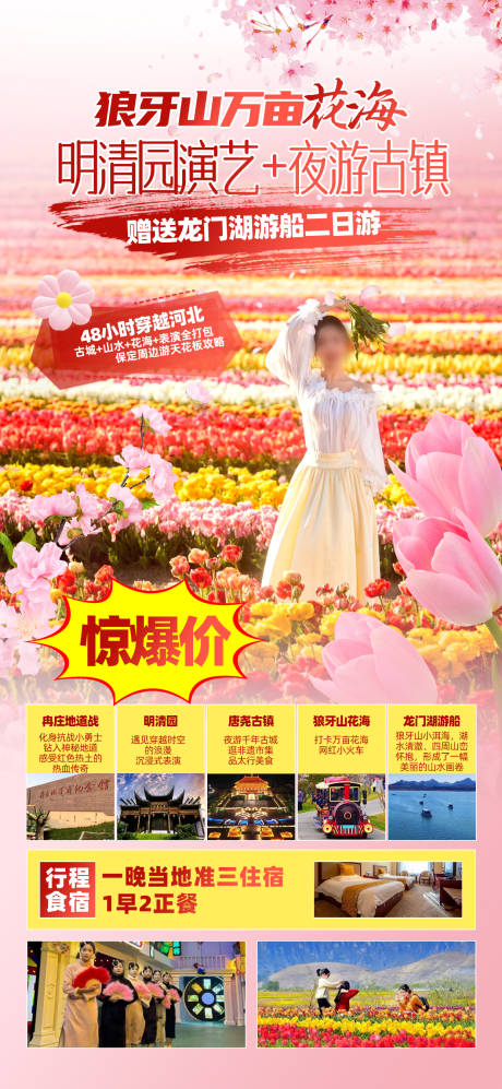 花海郁金香油菜花