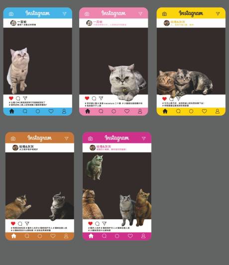 源文件下载【小猫透卡】编号：13550030183081542