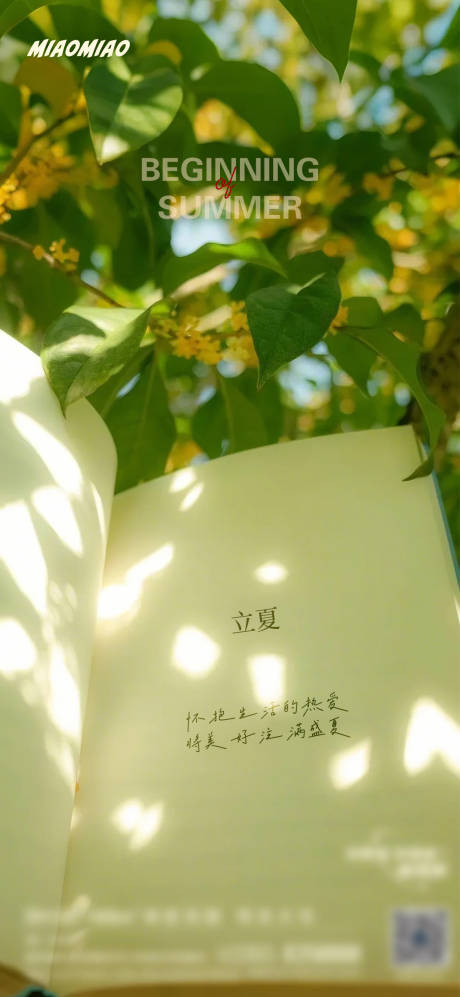 源文件下载【立夏文创节气海报】编号：25330030447302899