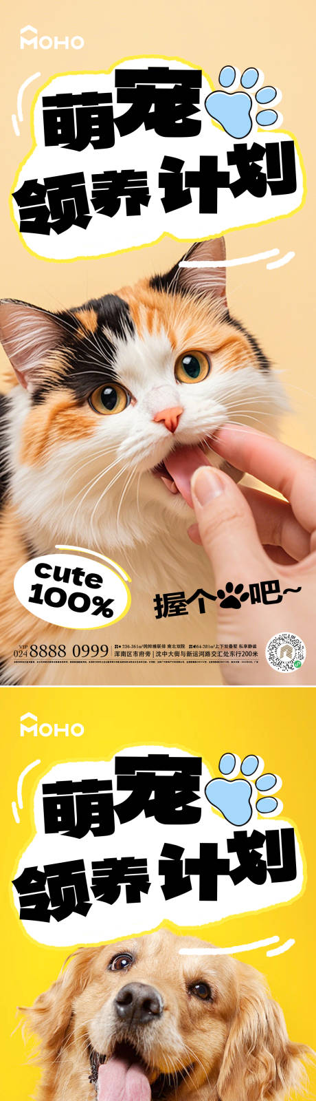 萌宠领养计划