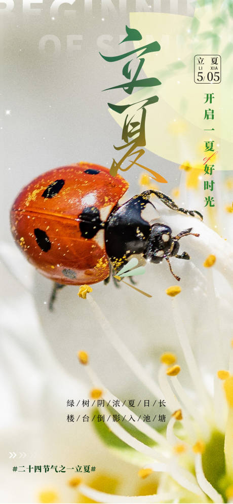源文件下载【立夏海报】编号：38600030304617298