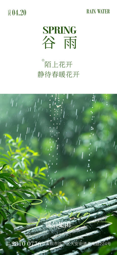 源文件下載【谷雨海報】編號：48380029993992329
