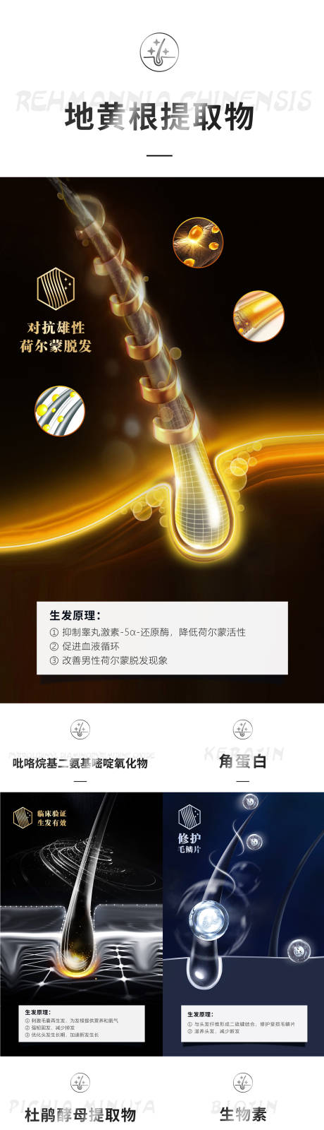 源文件下载【洗发水护发素成分系列海报】编号：49410030321379339