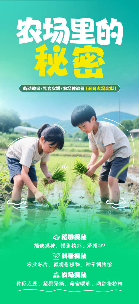 农场里的秘密海报