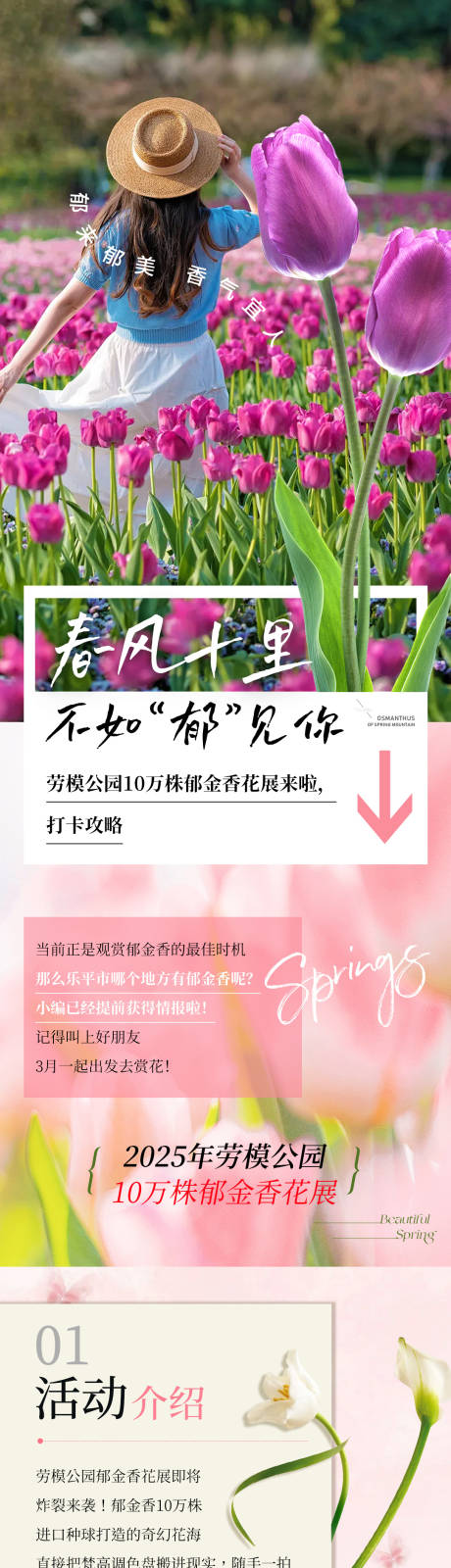 源文件下载【郁金香微信专题长图】编号：65170029939157362